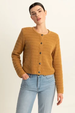 Expresso Vesten | Knitwear^Jas MIDDEN BRUIN