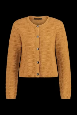 Expresso Vesten | Knitwear^Jas MIDDEN BRUIN