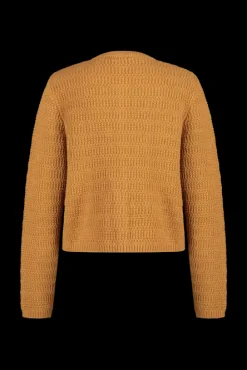 Expresso Vesten | Knitwear^Jas MIDDEN BRUIN