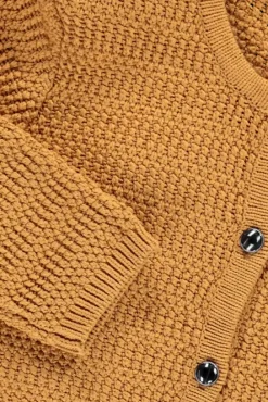 Expresso Vesten | Knitwear^Jas MIDDEN BRUIN