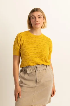 Expresso Truien | Knitwear^Trui OKER