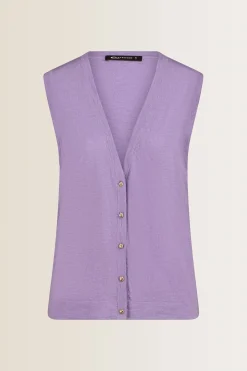 Expresso Truien | Knitwear^Trui LAVENDEL