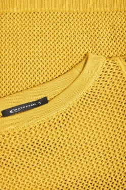 Expresso Truien | Knitwear^Trui OKER