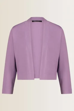 Expresso Vesten | Knitwear^Vest LAVENDEL