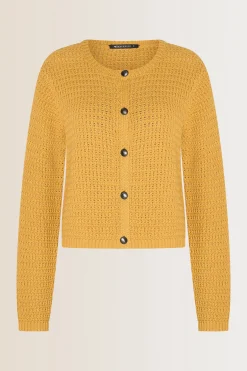 Expresso Vesten | Knitwear^Vest OKER