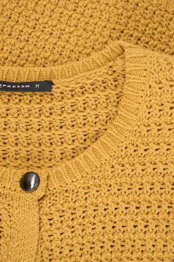 Expresso Vesten | Knitwear^Vest OKER